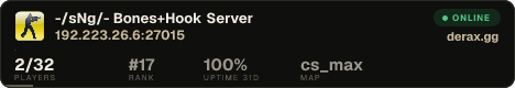 -/sNg/- Bones+Hook Server